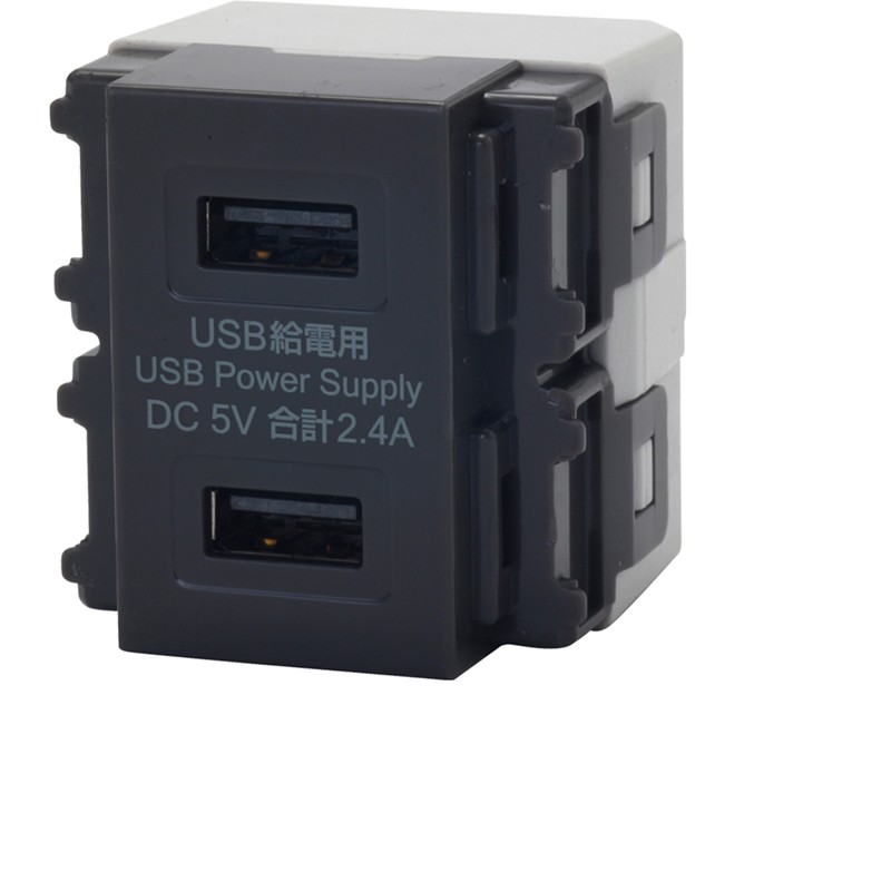 USB-R3701DG-JP JAPPY  USB Type-A給電用コンセント（2ポートタイプ） ダークグレー