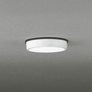 OG254515R オーデリック 白熱灯100W相当 昼白色 LEDエクステリア